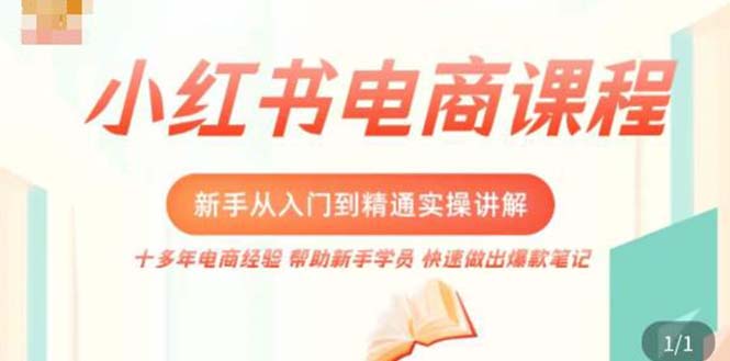 小红书电商新手入门到精通实操课，从入门到精通做爆款笔记，开店运营-测试站-蛙言