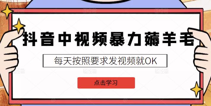 2022抖音中视频暴力薅羊毛白嫖项目：新号每天20块，老号几天几百块，可多号￼-测试站-蛙言