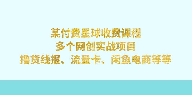 某付费星球课程：多个网创实战项目，撸货线报、流量卡、闲鱼电商等等-测试站-蛙言