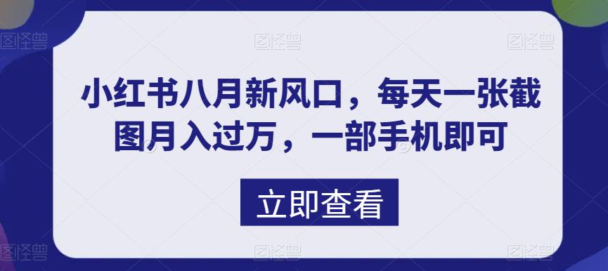 八月新风口，小红书虚拟项目一天收入1000+，实战揭秘-测试站-蛙言